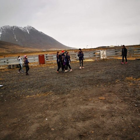 received_377979206729169