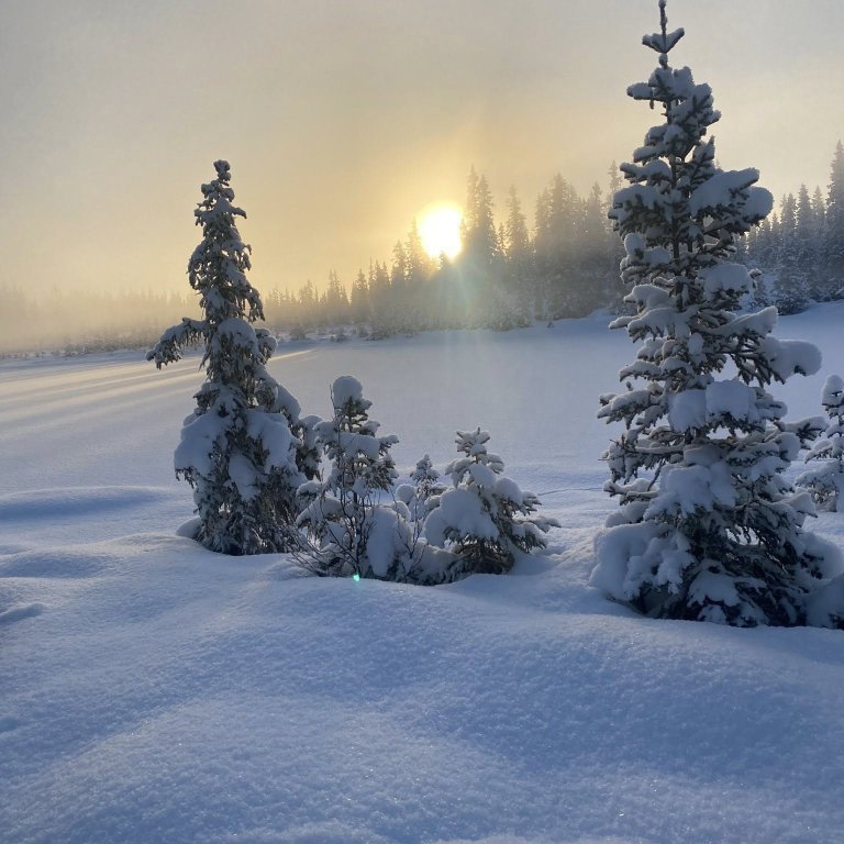 612377984_10233494270762309_2589797759926507179_n