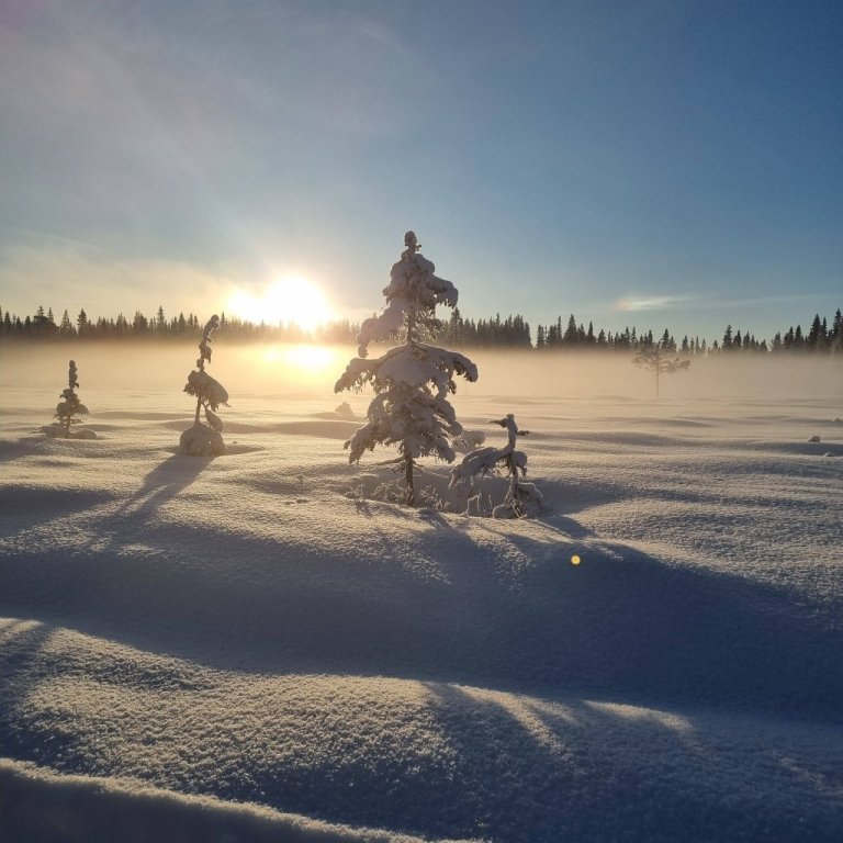 614171412_26214401351478919_6172595429360686756_n