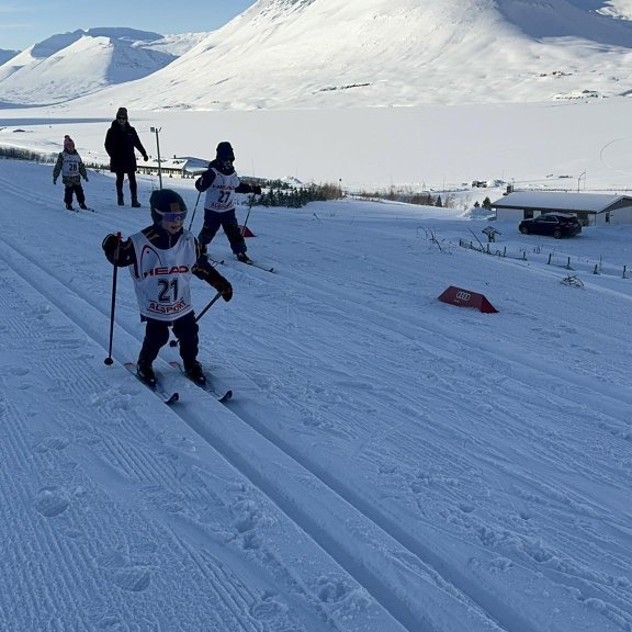 429797290_1135913314263362_6460280112851668674_n