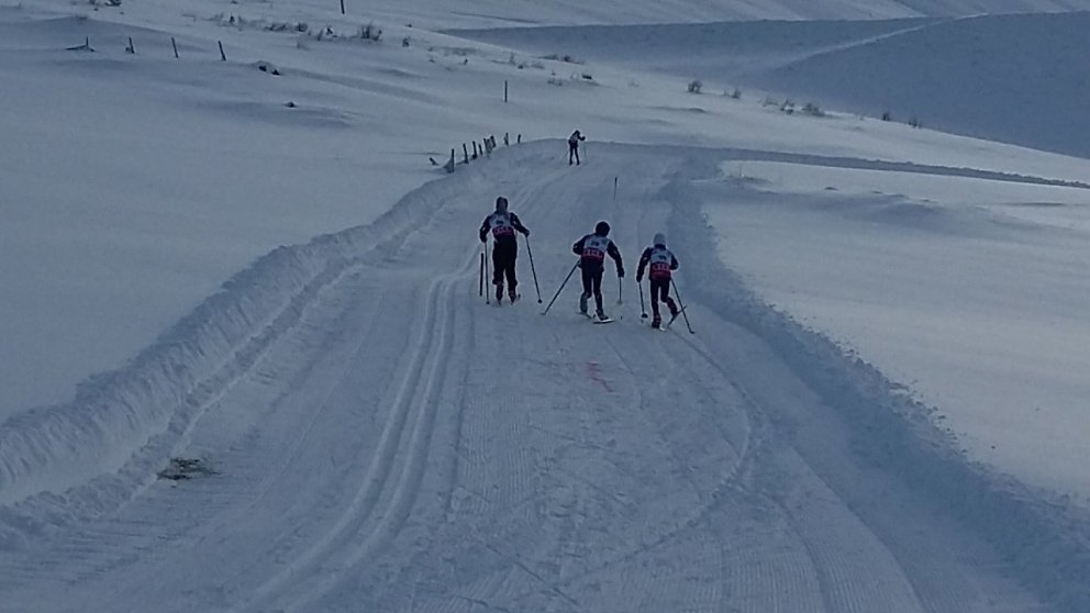 Námskeið 1 skíðagöngu