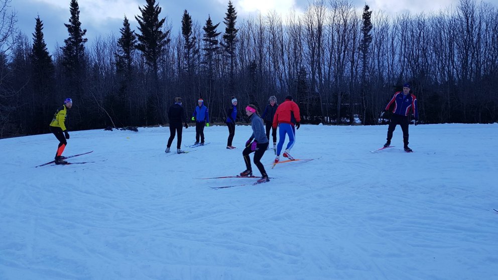 Þjálfaranámskeið SKÍ