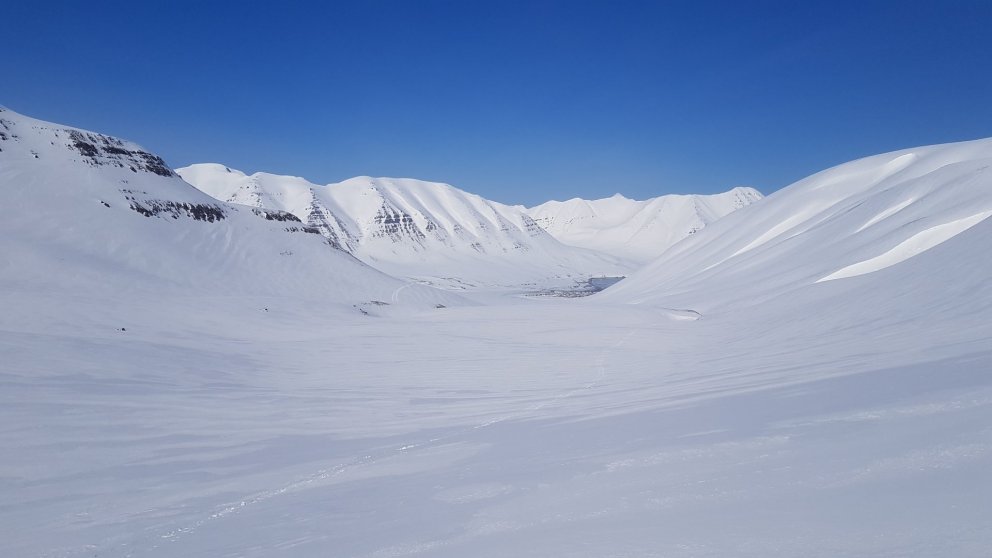 Árskort og staðan í dag