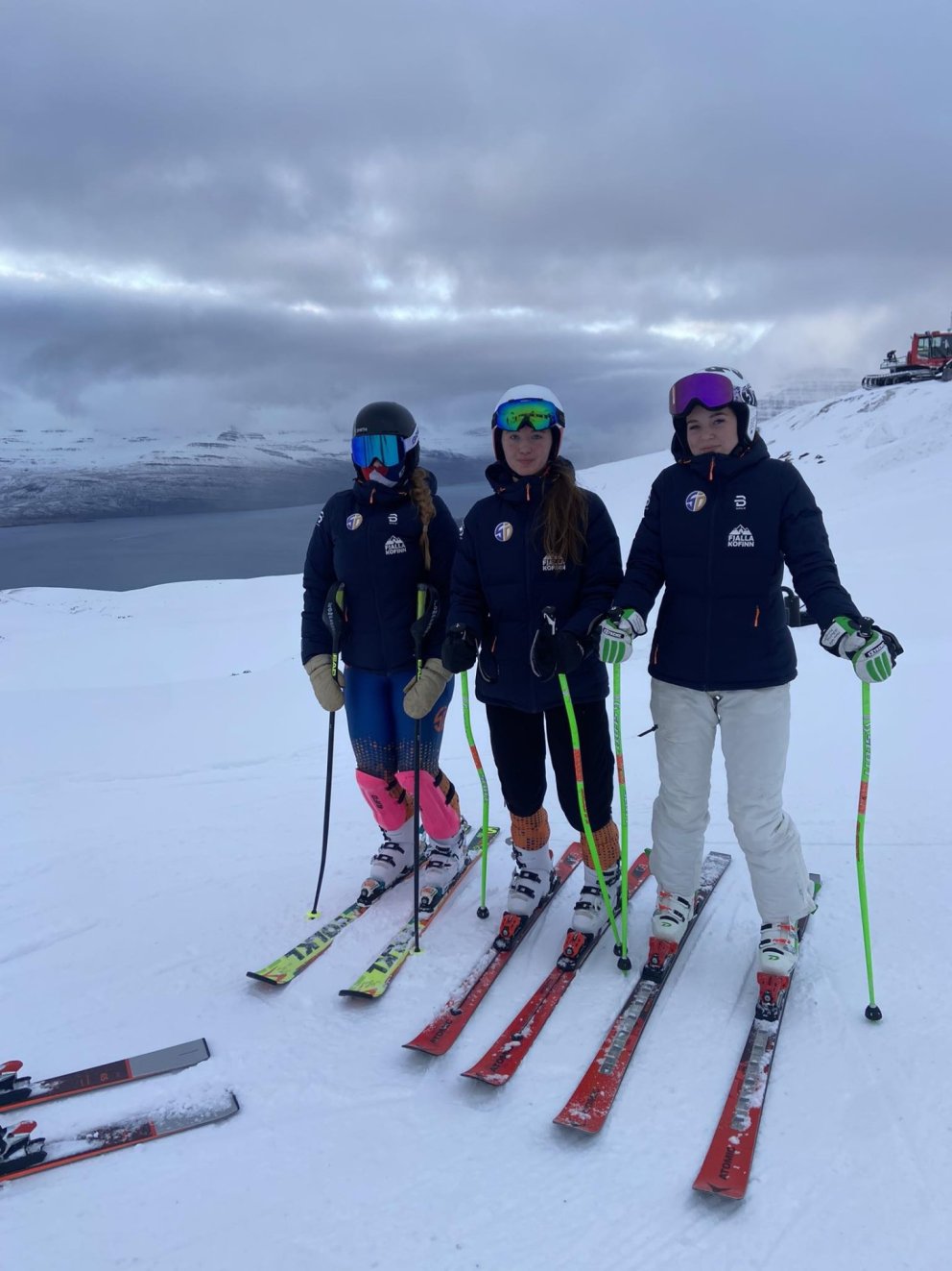 Hæfileikamótun SKÍ í alpagreinum