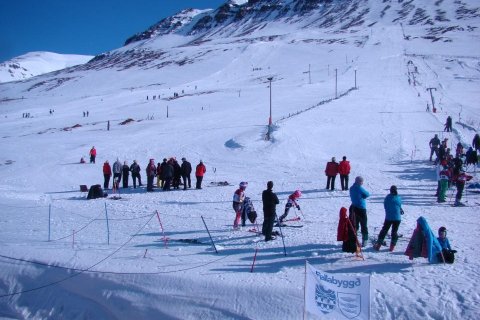 Byrjendanámskeið alpagreina