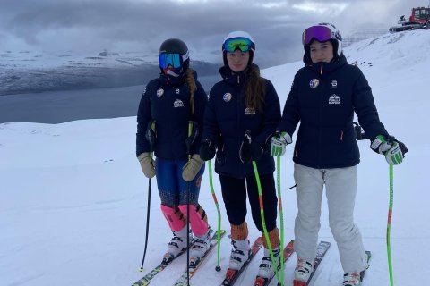 Hæfileikamótun SKÍ í alpagreinum